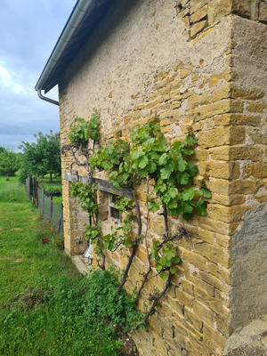 Maison - 270 m² - 1 pièce