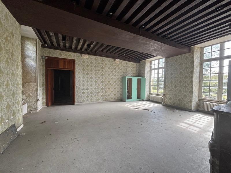 Château - 450 m² - 18 pièces