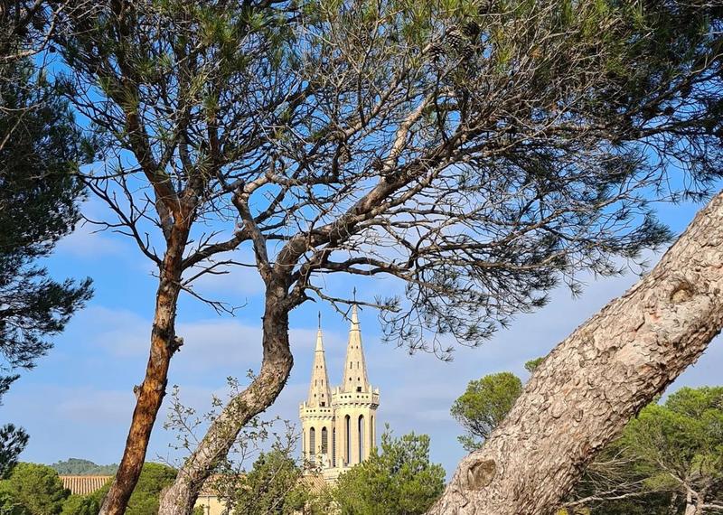 Conférence/"Saint Michel de Frigolet et l'Ordre des Prémontrés"