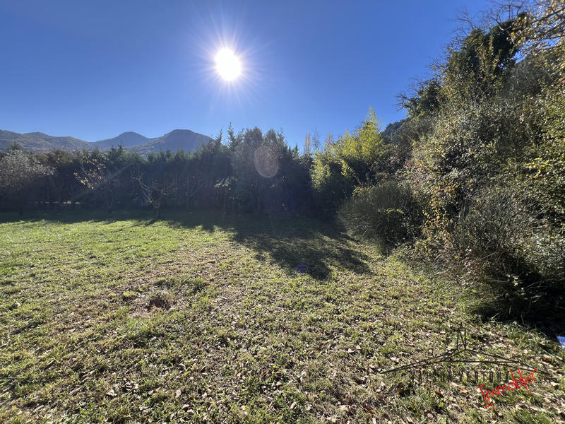 Terrain - 1 231 m²