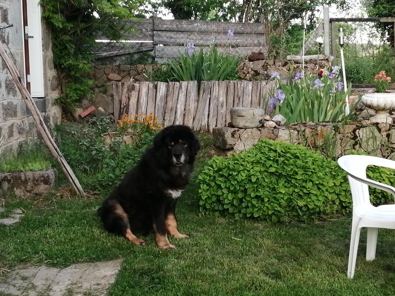 chez marie et didier