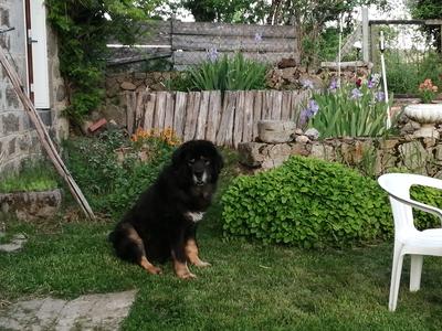 chez marie et didier