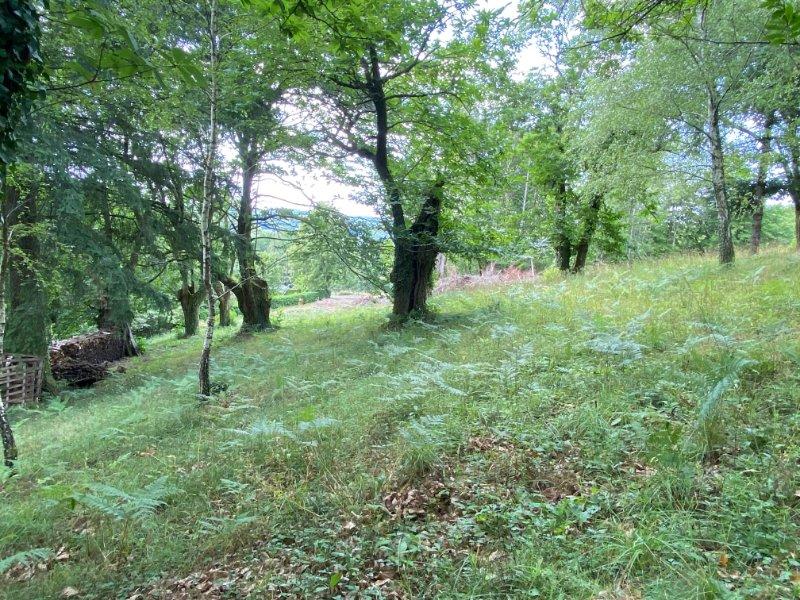 Terrain constructible - 2 355 m²