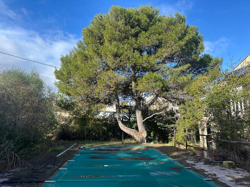 Maison traditionnelle - 165 m² - 6 pièces