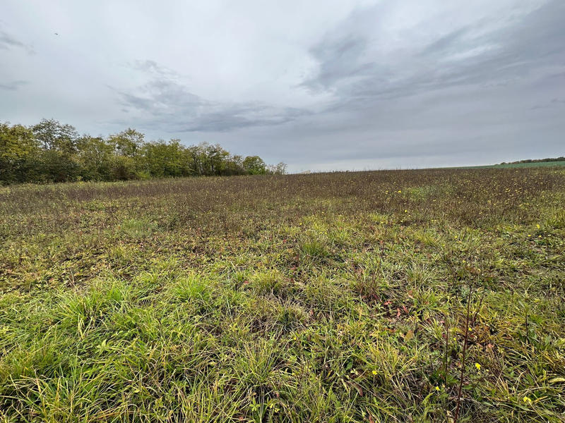 Terrain - 23 625 m²