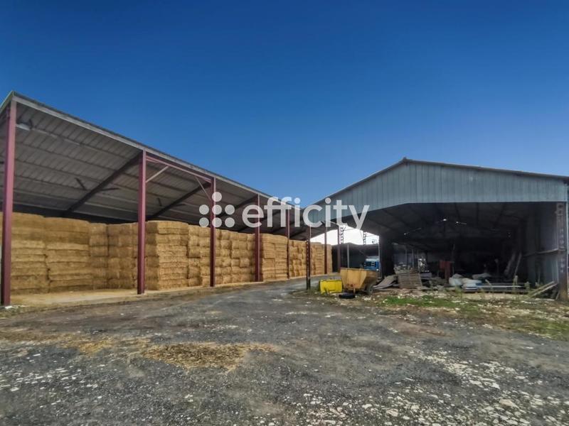 Maison - 159 m² - 6 pièces