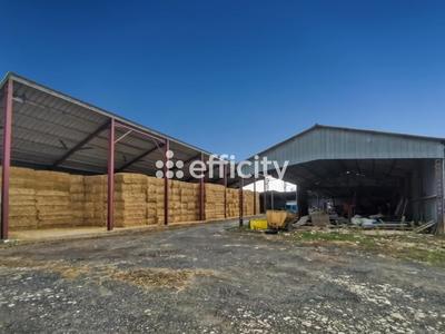 Maison - 159 m² - 6 pièces