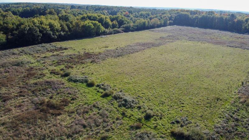 Forêt - 223 455 m²