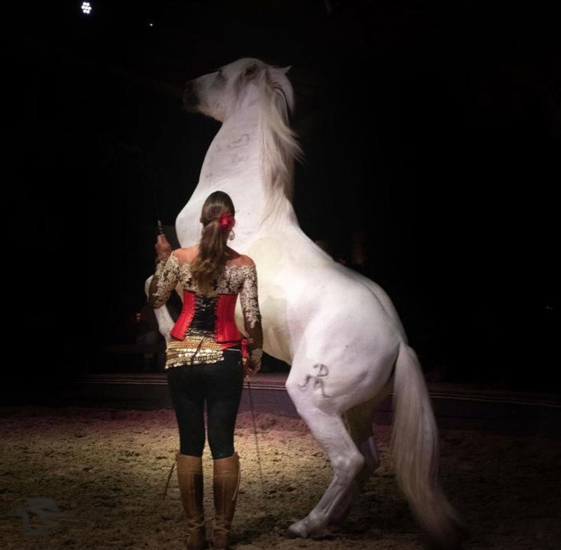 Spectacle "Anatilya, le silence sacré du Vaccarès" au Théâtre Equestre Camarkas