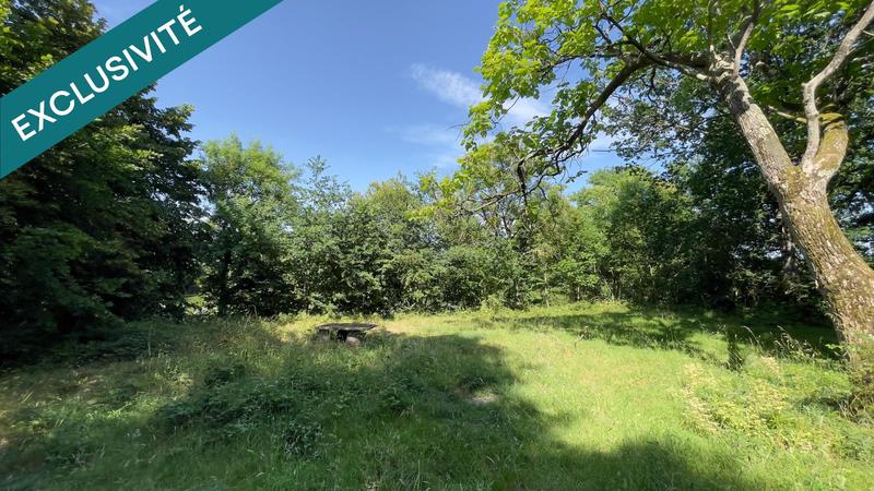 Terrain - 10 201 m²