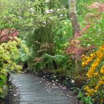 Jardin du Petit Bordeaux