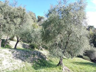 Villa - 54 m² - 3 pièces