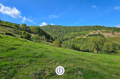 Propriété - 271 m² - 10 pièces