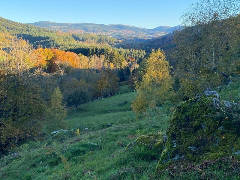 Corps de ferme - 350 m² - 6 pièces