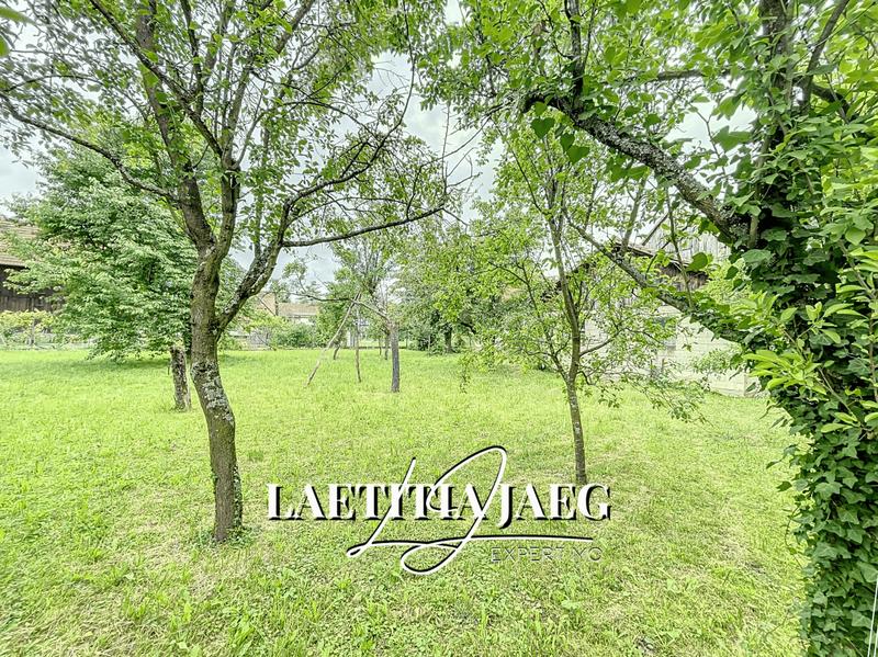 Maison - 650 m² - 1 pièce