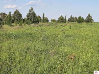 Terrain - 33 000 m²