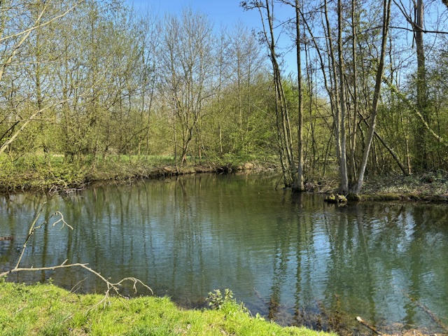 Maison - 173 m² - 7 pièces