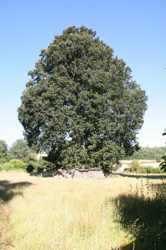 Maison - 104 m² - 6 pièces