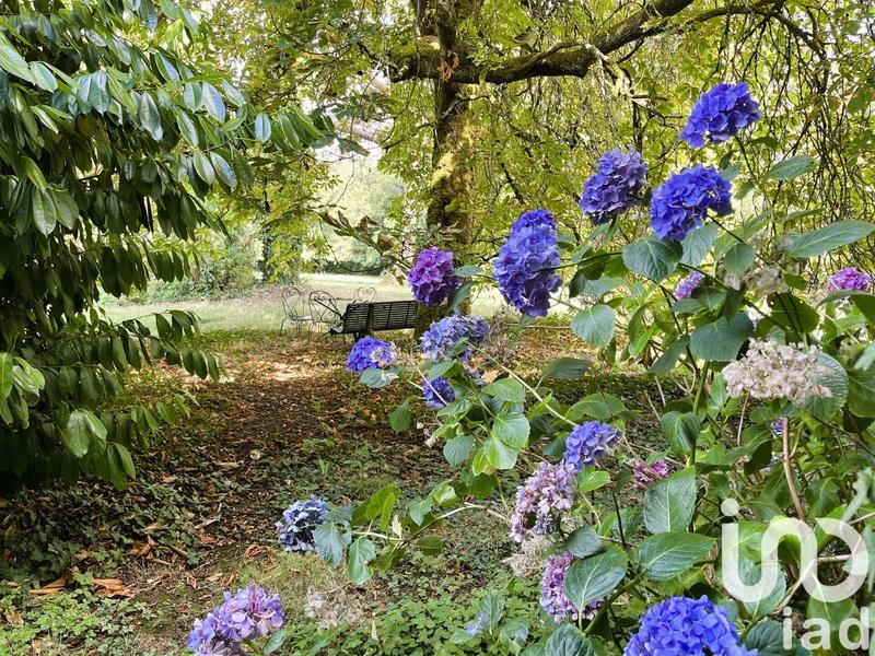 Château - 480 m² - 12 pièces