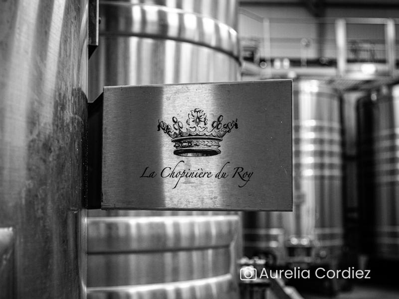 Visite-dégustation : Visite du domaine et histoire de l'appellation