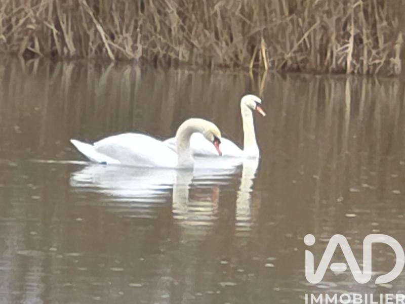 Maison - 106 m² - 2 pièces