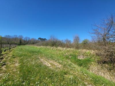 Terrain agricole - 7 061 m²