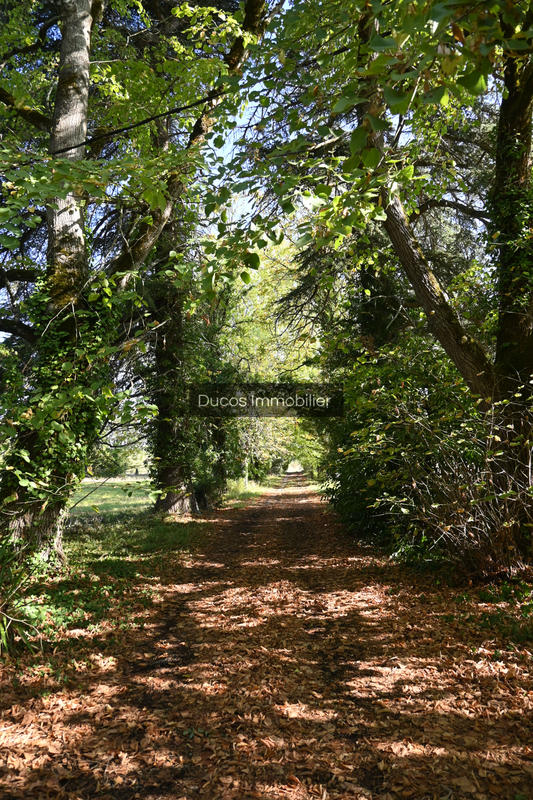 Maison - 360 m² - 8 pièces