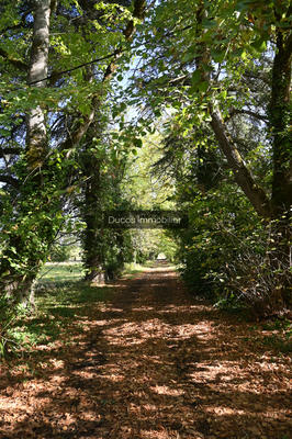 Maison - 360 m² - 8 pièces