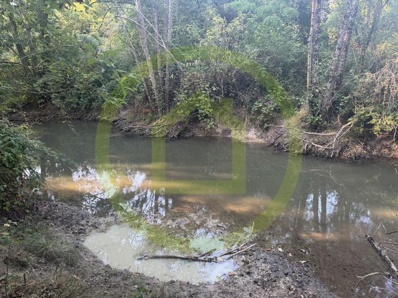 Propriété - 305 m² - 13 pièces