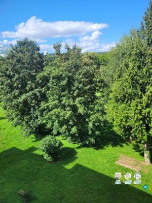 Appartement - 96 m² - 4 pièces