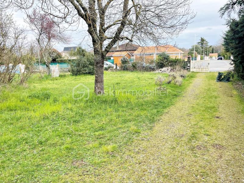 Terrain - 445 m²