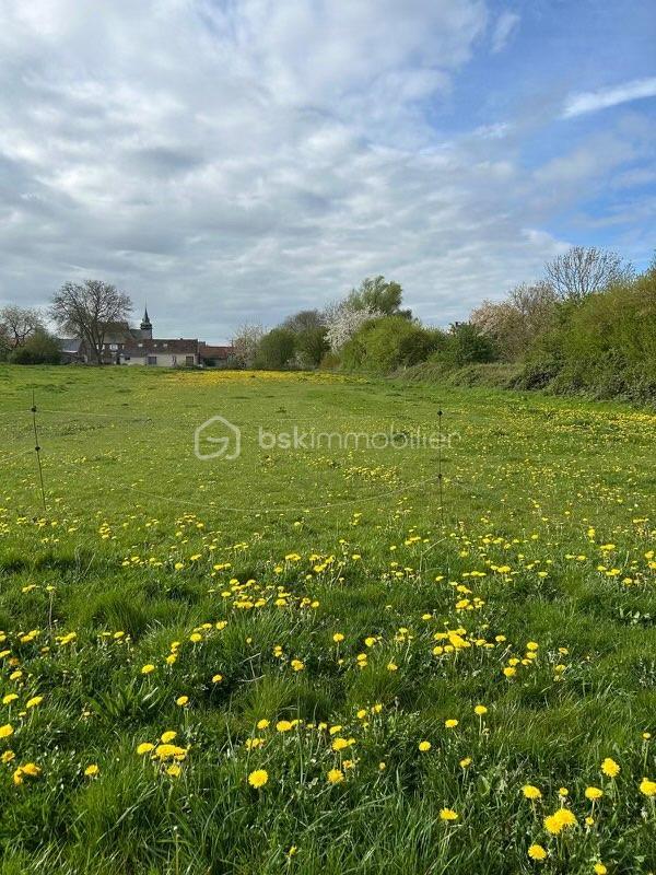 Terrain de loisirs - 2 978 m²