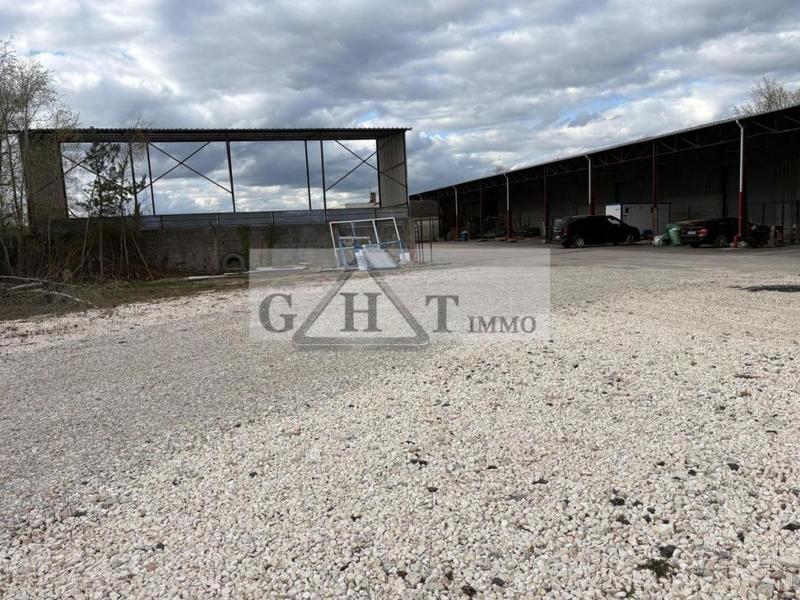 Entrepôt - 5 800 m²