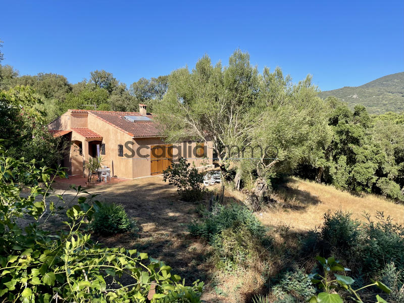 Maison - 246 m² - 9 pièces