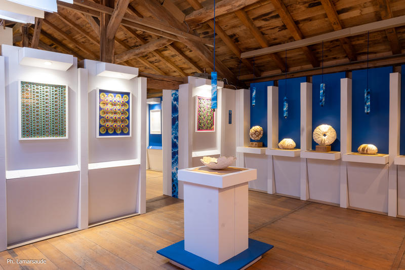 Exposition, Océans, le papier fait des vagues au Moulin du Got