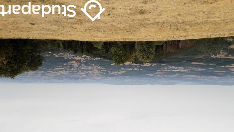 Chambre - 13 m² - 1 pièce