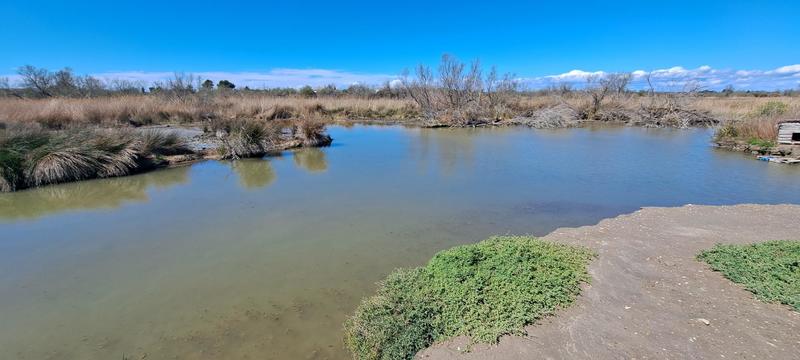 Propriété - 255 m² - 9 pièces