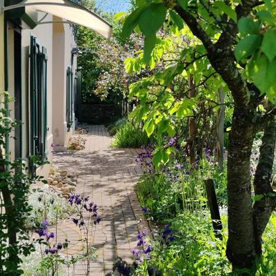 Maison - 241 m² - 8 pièces