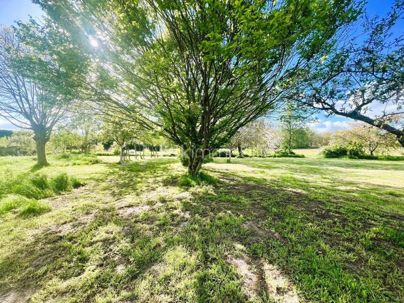 Corps de ferme - 400 m² - 15 pièces