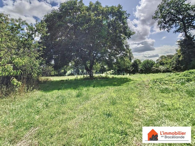 Longère - 250 m² - 5 pièces