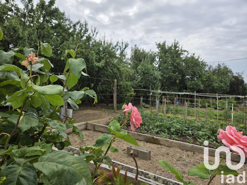 Maison de campagne - 218 m² - 12 pièces