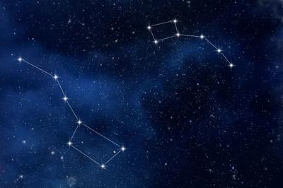 Atelier : les animaux dans les constellations