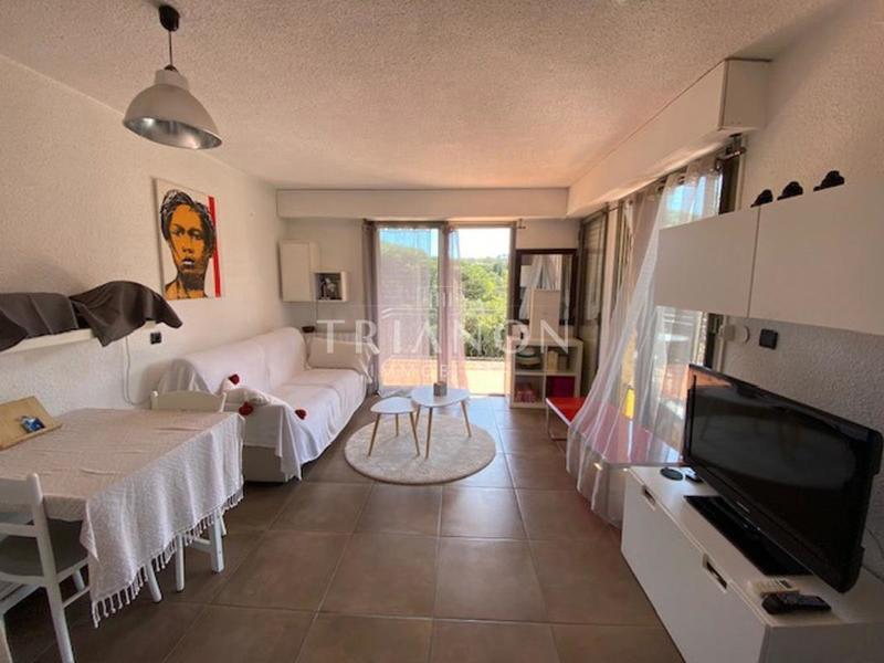 Studio - 24 m² - 1 pièce