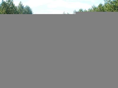 Randonnée de la Brenne