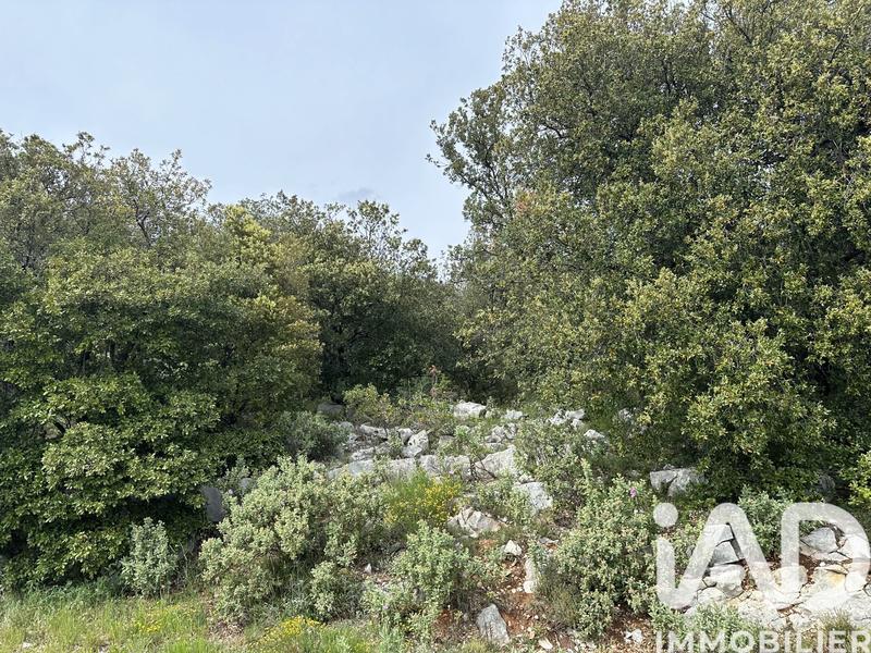 Terrain agricole - 2 710 m²