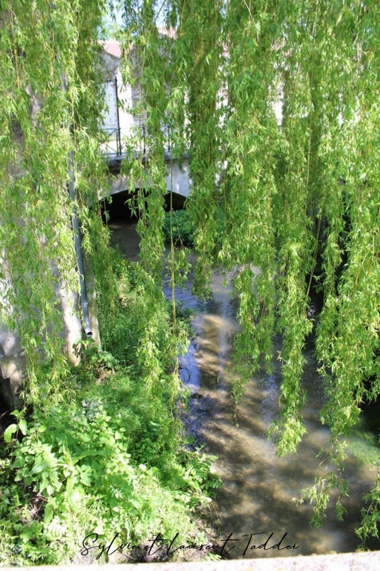 Maison - 330 m² - 17 pièces