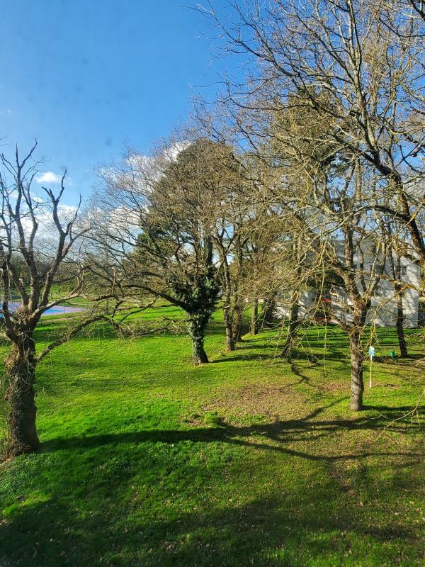 Appartement ancien - 49 m² - 2 pièces