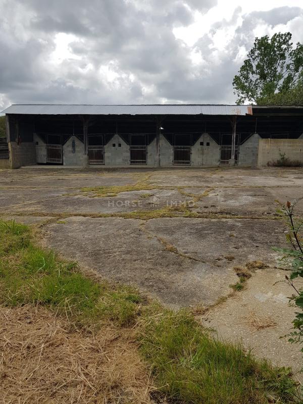 Maison de domaine équestre - 443 m² - 9 pièces