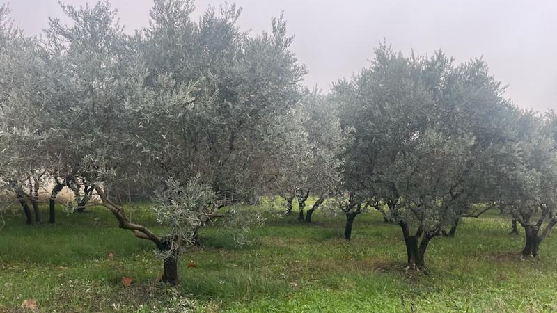 Terrain constructible - 360 m²