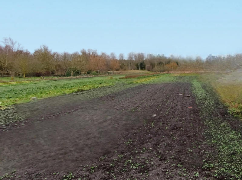 Maison - 85 m² - 3 pièces